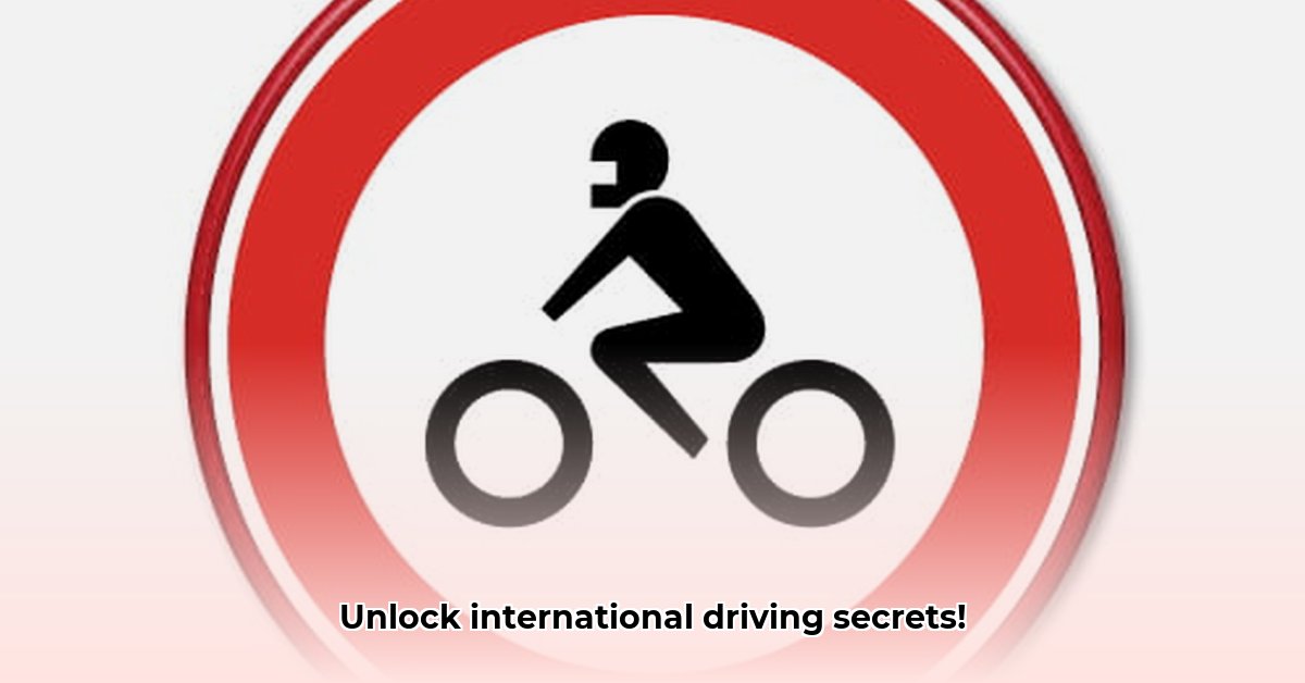 internationaal-paspoort-voor-motorrijtuigen